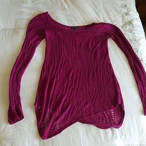 Express Sheer Sweater